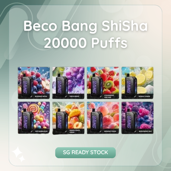 Beco Bang ShiSha 20000 Puffs DTL Disposable Vape Device