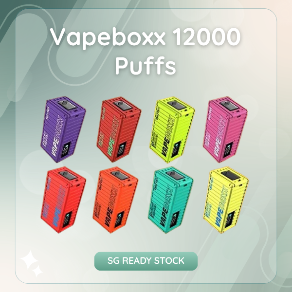 Vapeboxx 12000 Puffs rechargeable disposable vape with mesh coil tech