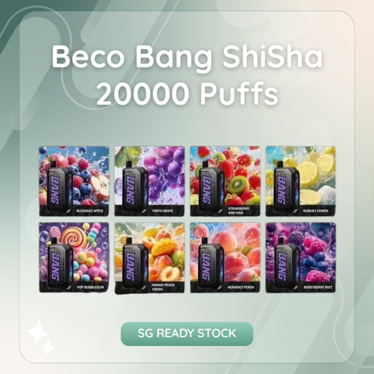 Beco Bang ShiSha 20000 Puffs DTL Disposable Vape Device