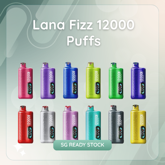 Lana Fizz 12000 Puffs rechargeable disposable vape device showing sleek body design  