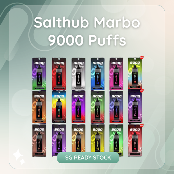Salthub Marbo 9000 Puffs rechargeable disposable vape device front view