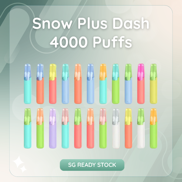 Snow Plus Dash 4000 Puffs Disposable Vape compact device showing sleek ceramic design